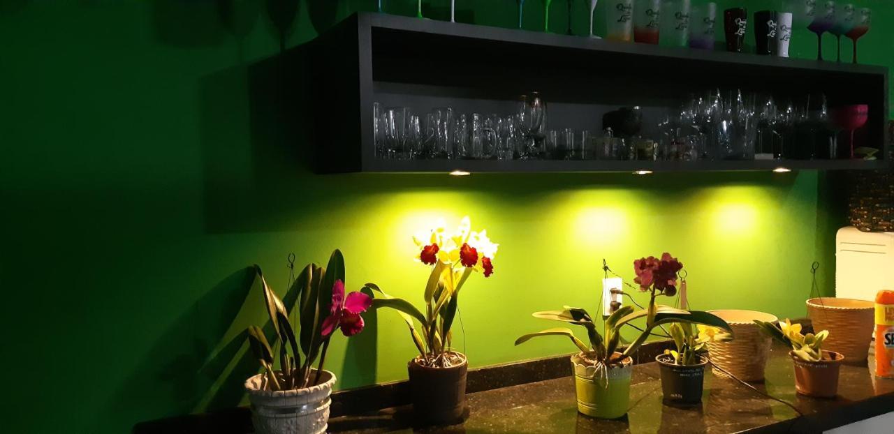 Quinta Do Lapa II Apartment Florianopolis Ngoại thất bức ảnh